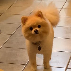 Meet your Posher, Taryn